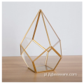 Rośliny Szklane Terrarium Geometryczny Pentagon Paproć Mech